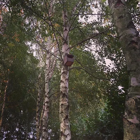 Stacja Wygoda 펜션 *