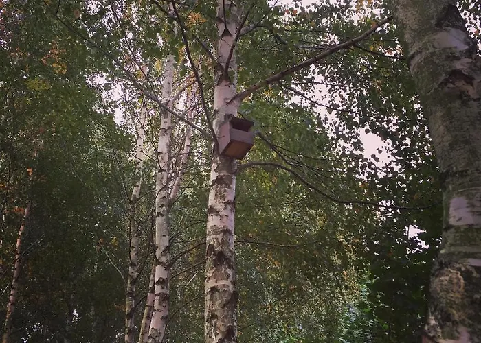 Stacja Wygoda Tatil Evi *